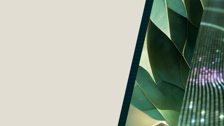 AI for Sustainability